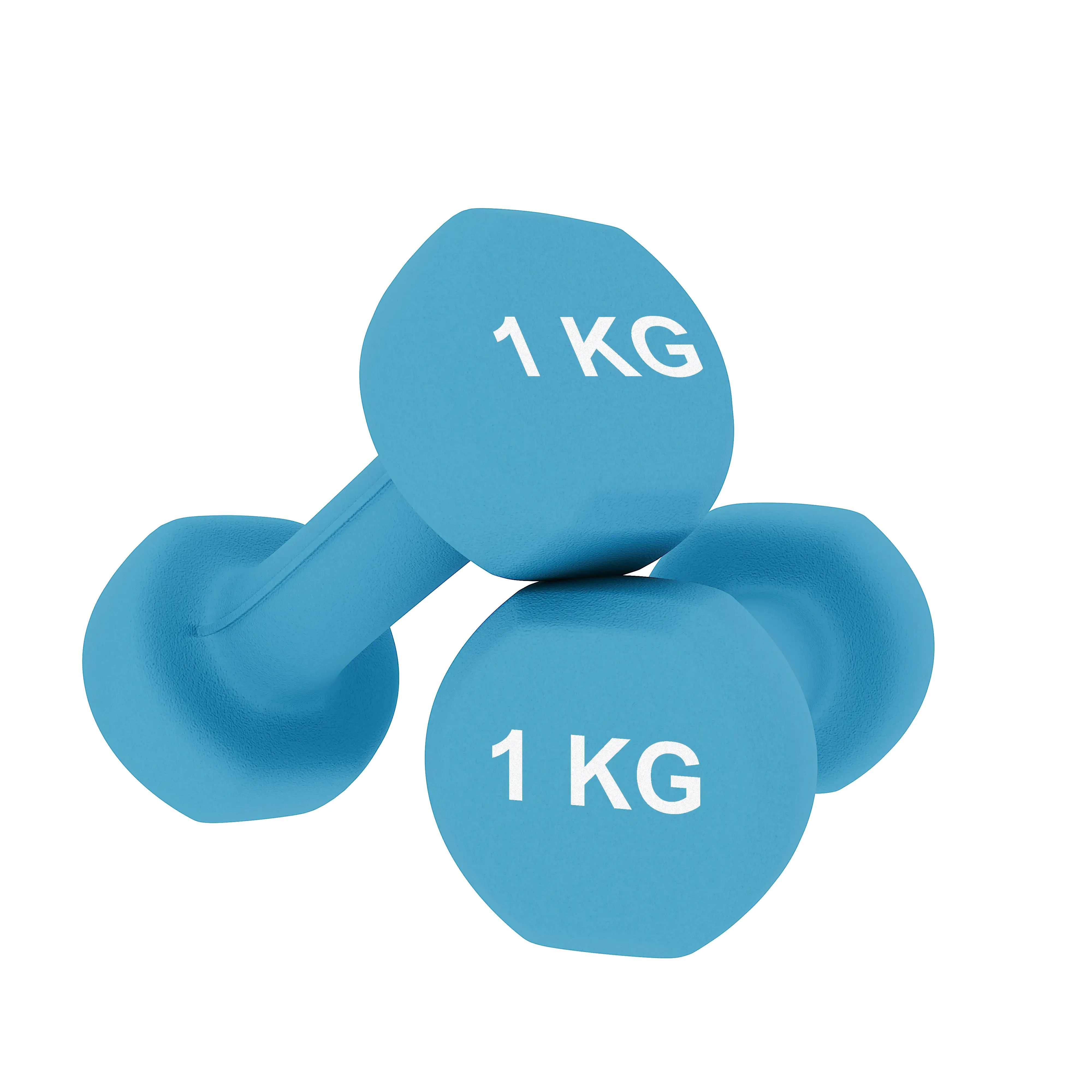 Coppia Pesi Palestra Manubri Per Casa Fitness Manubrio In Neoprene Pesetti Esagonali Impugnatura Antiscivolo Body Building Crossfit Aerobica Esercizi Ginnastica 2 x 1 Kg Colore Azzurro