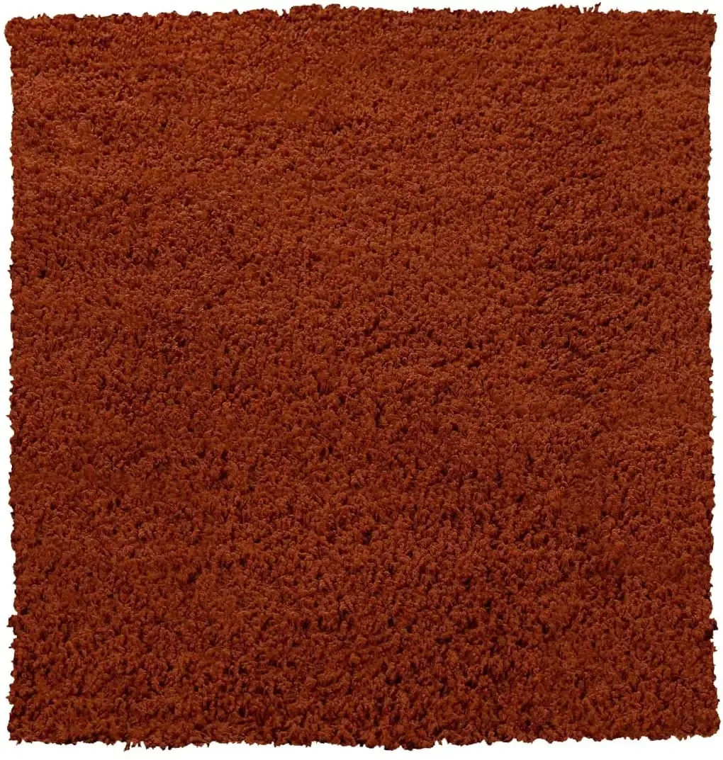 Tappeto Shaggy A Pelo Lungo Antiscivolo Moderno Per Salotto Camera Soggiorno In Diversi Colori E Misure, Colore Intenso e Brillante, 40 x 60 cm, Terracotta