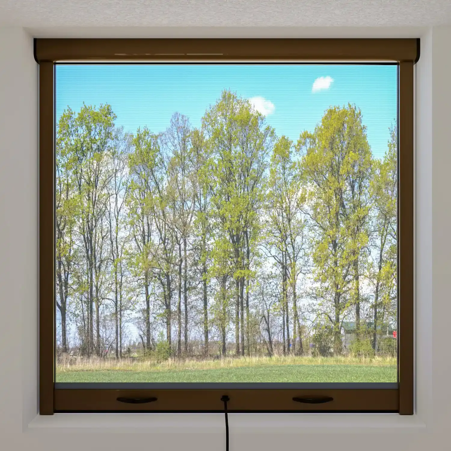 Zanzariera a rullo avvolgibile riducibile con frizione finestra kit zanzariere 80 x 170 Cm Marrone