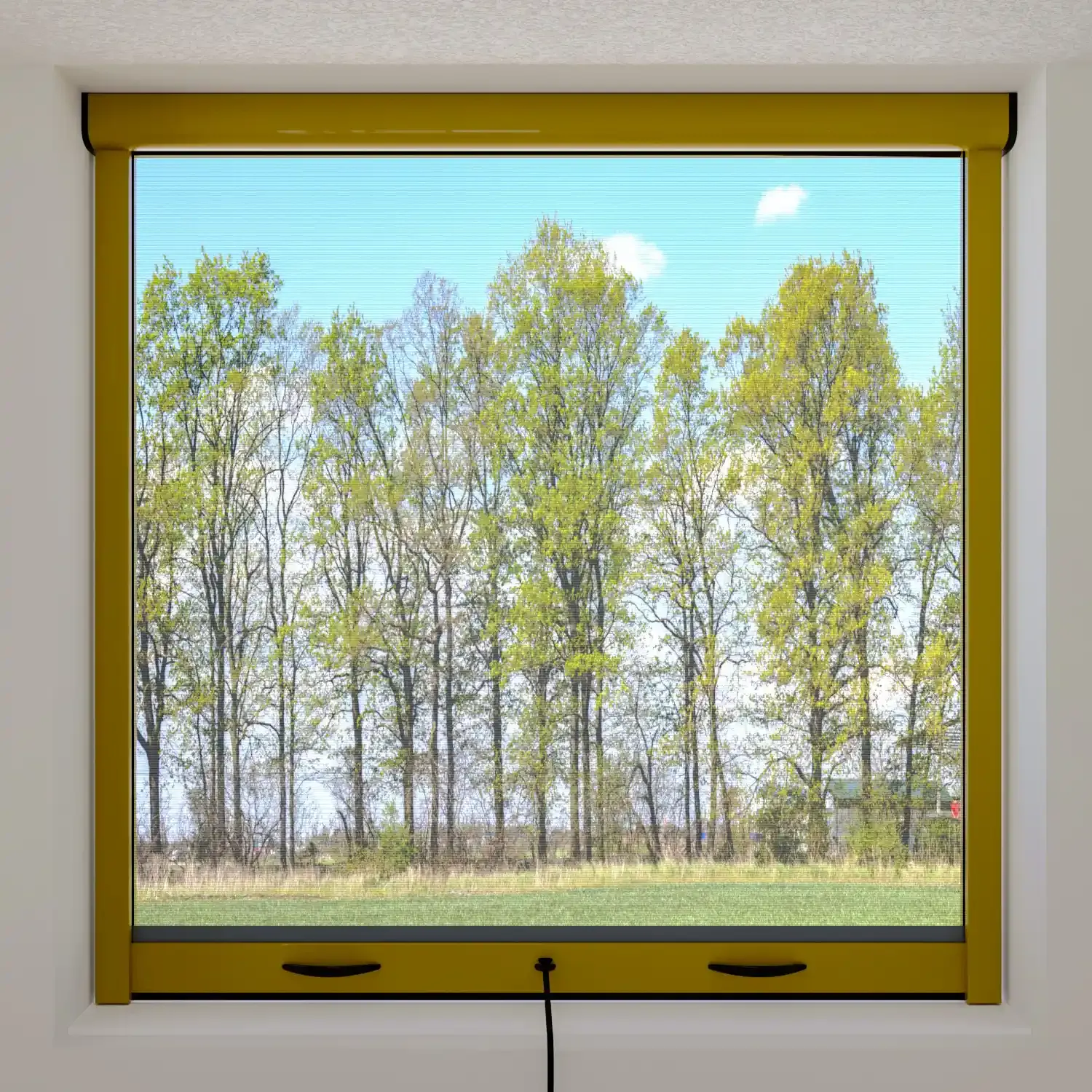 Zanzariera a rullo avvolgibile riducibile con frizione finestra kit zanzariere 80 X 170 Cm Oro