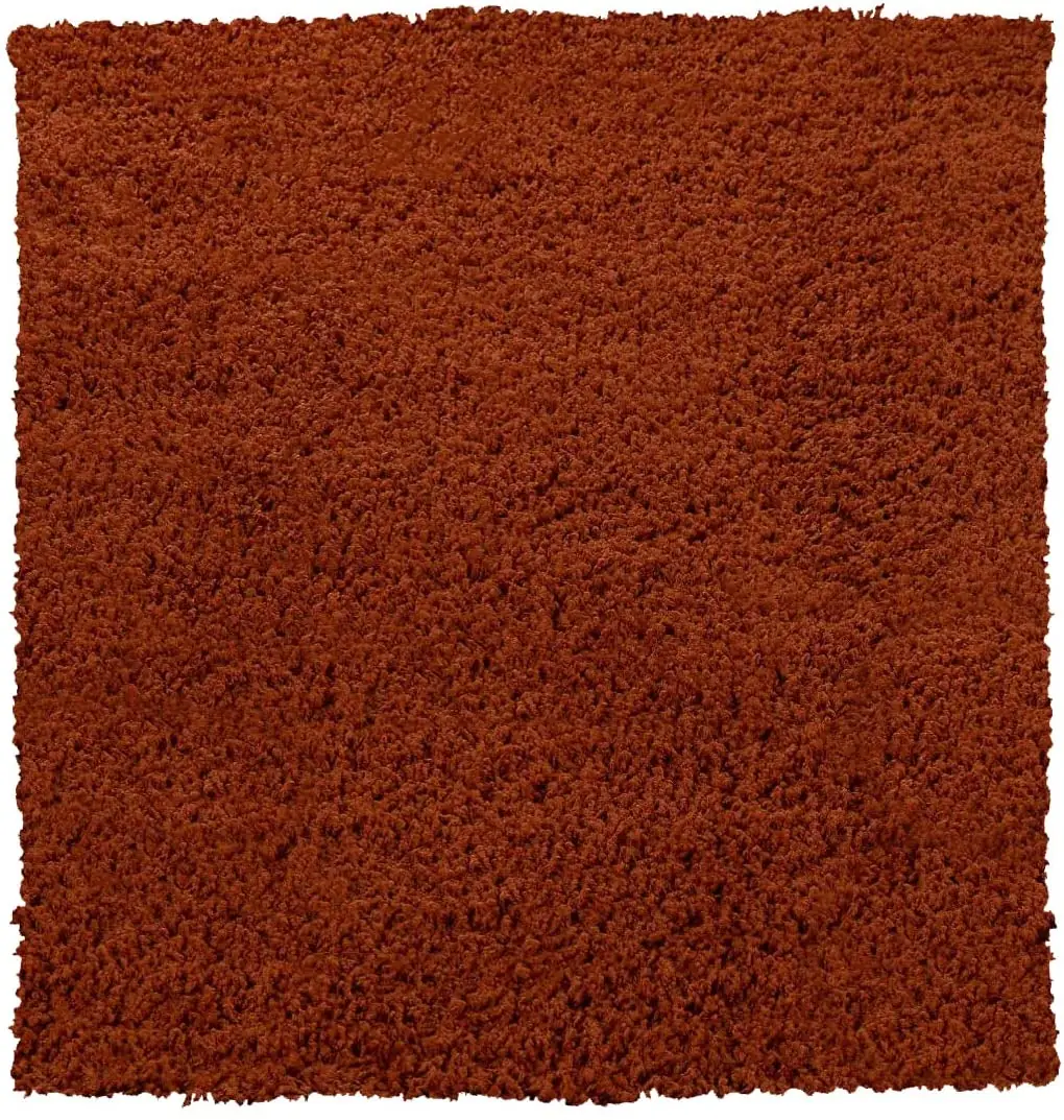 Tappeto Shaggy A Pelo Lungo Antiscivolo Moderno Per Salotto Camera Soggiorno In Diversi Colori E Misure, Colore Intenso e Brillante, 160 x 220 cm, Terracotta